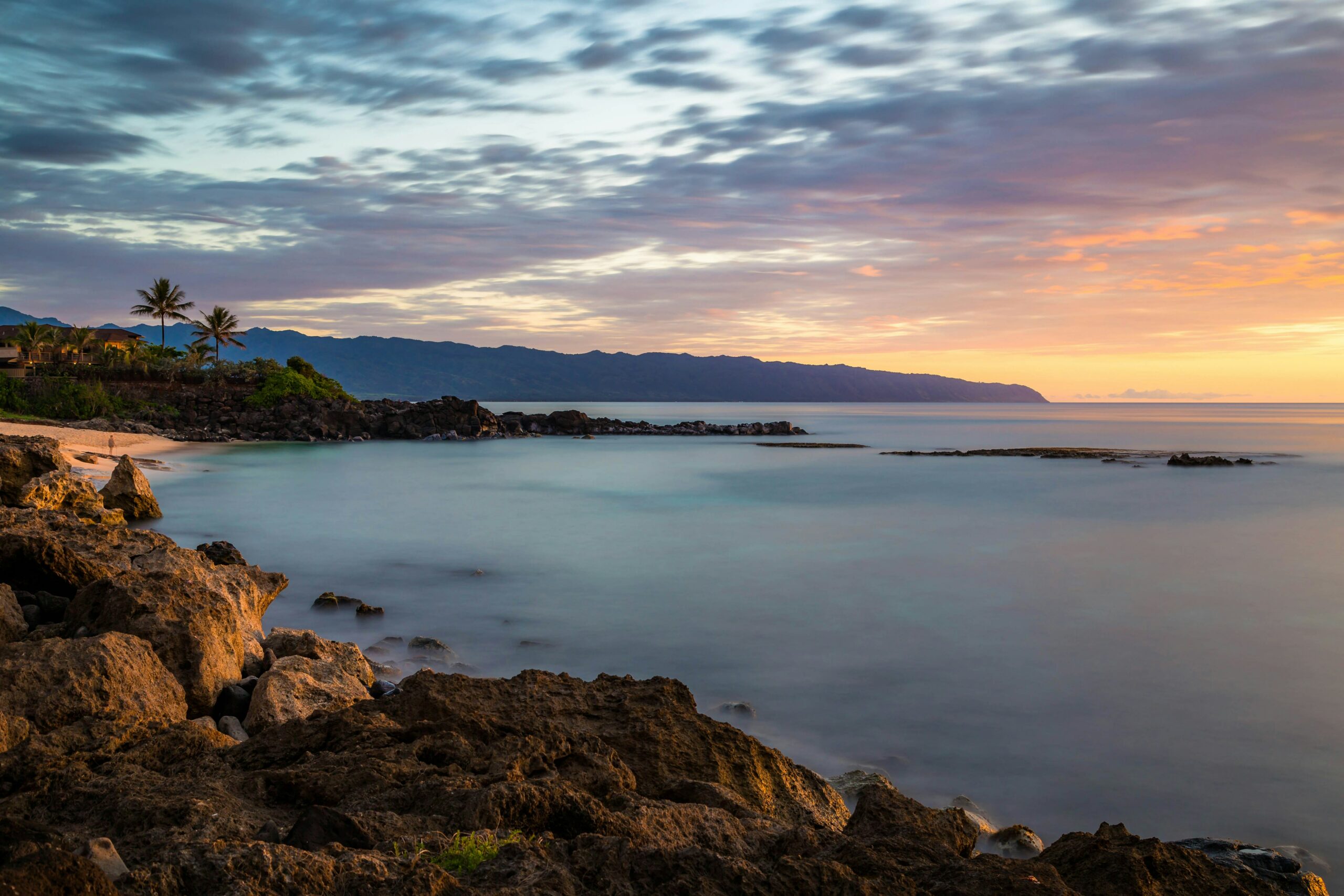 4 Reasons to Hire a PPC Management Agency in Hawaii